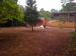 Grass seeding and planting schemes, Epping Essex