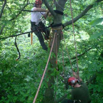 Non invasive cable bracing, Ongar