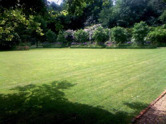 Gardens, landscapes and planting, Central London