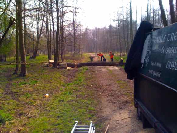 Royal Gunpowder Mills tree removal, Waltham Abbey Essex