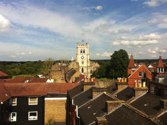 Waltham Abbey Town Council Tree work undertaken by Pauls Trees of Waltham Abbey