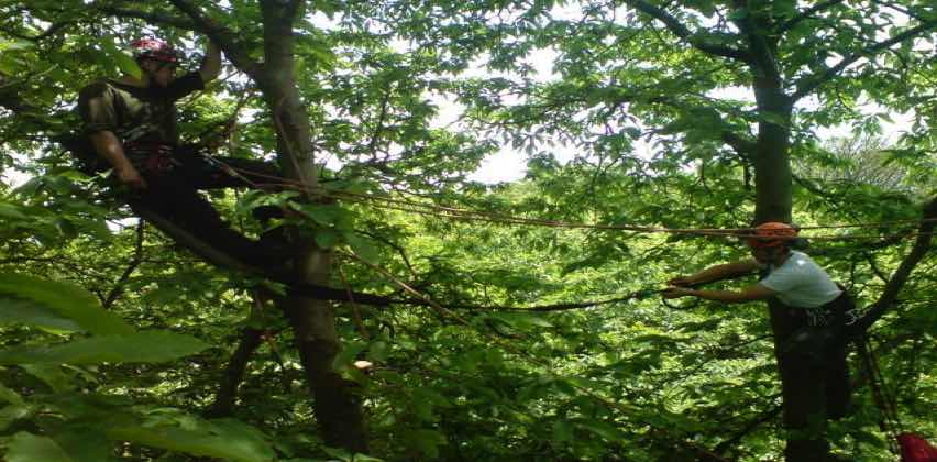 garden Logs waltham Abbey
