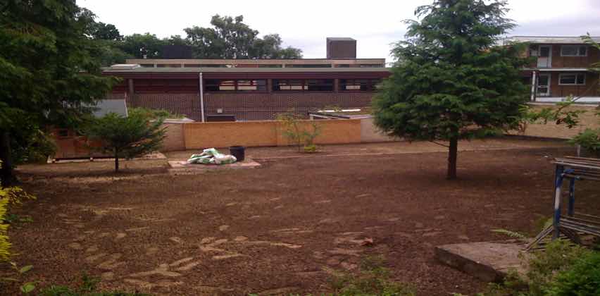 planting trees harlow and essex